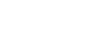 Network of Arts
